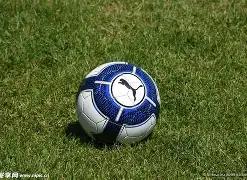 战略转折,次回合策略,变革,ebpay,钱包官网,ebpay下载,ebpay官网