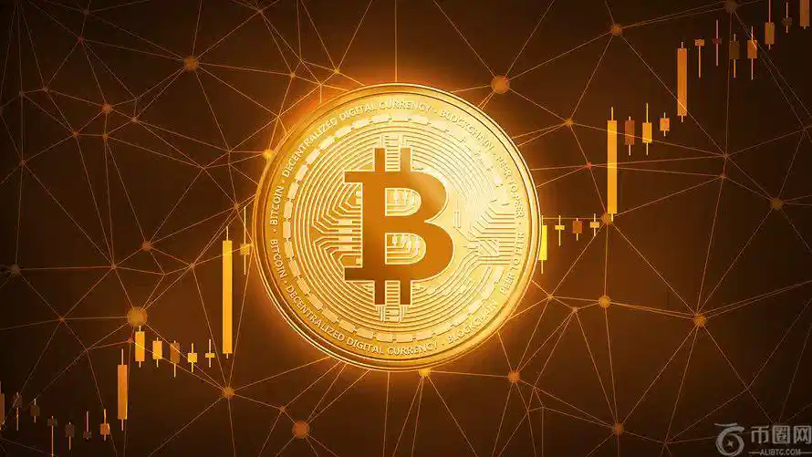 章子怡公开,露面展现自,然风采,ebpay,钱包官网,ebpay下载,ebpay官网