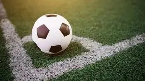 娱乐圈新生代颜值担当TOP10小花