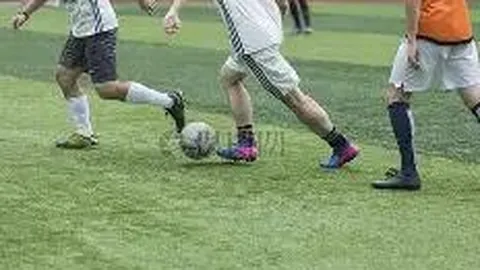 中国合十贡米力胜日本越光米，荣获国际食味大赛金奖巅峰荣耀