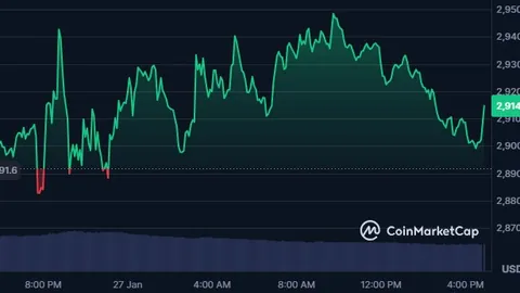 葡萄牙本菲卡以2000万欧元价格签下多特蒙德核心中场球员魏格尔