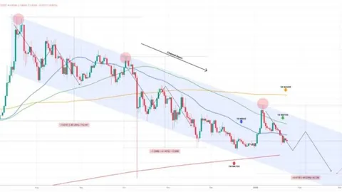 今晨欧冠分组结果揭晓，巴塞罗那、国际米兰、多特蒙德分在一组