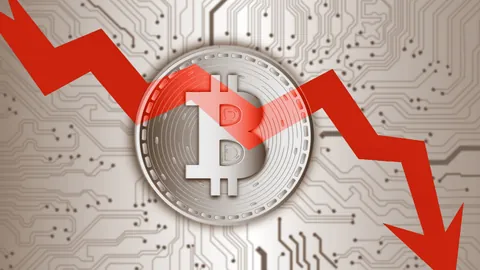 WTA推出全新积分制度，中国网球健儿把握积分上涨新机遇