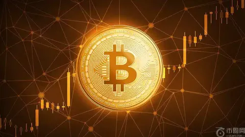 渭南即将迎来国际轮滑马拉松及公路自行车赛事